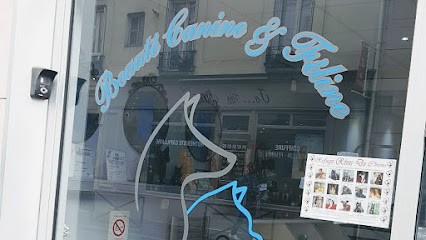 Eurochiens, Toiletteur pour Animaux à Levallois-Perret