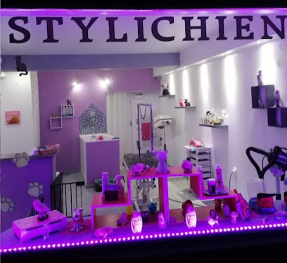 Stylichien Toiletteur Pour Animaux à Billom