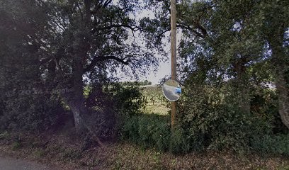 Combes André, Toiletteur pour Animaux à La Londe-les-Maures