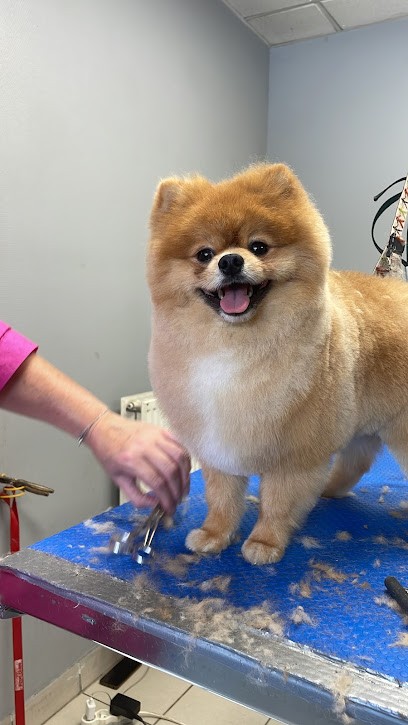 Alimalia, Toiletteur pour Animaux à Saint-Genis-Laval