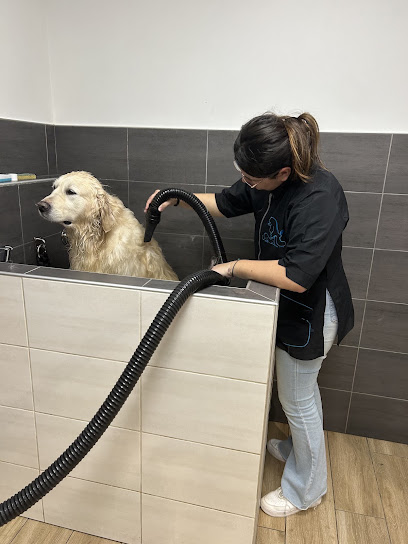 Dog And Cath's Toiletteur Pour Animaux à la Roche-sur-Yon