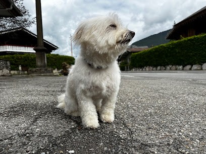 K9 Café, Toiletteur pour Animaux à Morzine