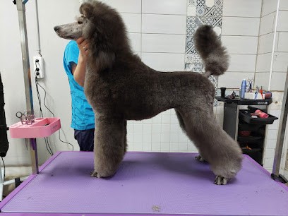 L'art Du Poil, Toiletteur pour Animaux à La Ferté-Bernard