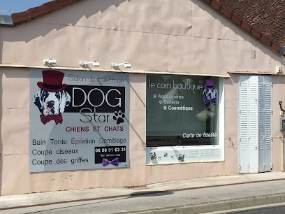 DOG STAR, Toiletteur pour Animaux à Sornay