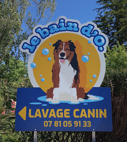Lavage Canin - Le Bain D'o. Toiletteur Pour Animaux à Chauray