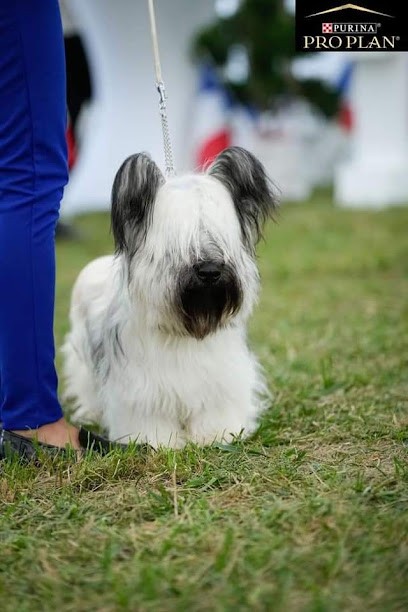 Toilettage R'BROUSS'POIL, Toiletteur pour Animaux à Pérouse