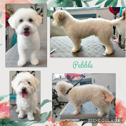 Ramène Ta Truffe, Toiletteur pour Animaux à Villefranche-de-Rouergue