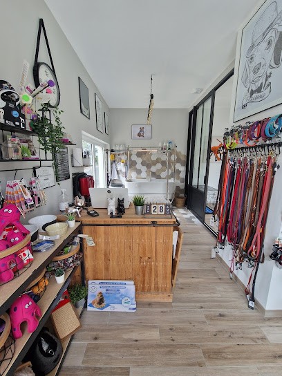 Les Artisans Toiletteurs, Toiletteur pour Animaux à Ludon-Médoc