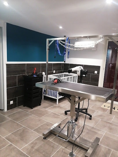 Animmobile toilettage, Toiletteur pour Animaux aux Mages