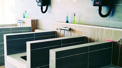 Aux Pattes Toutes Nettes - Lavage Libre Service Pour Animaux, Toiletteur pour Animaux à Varangéville