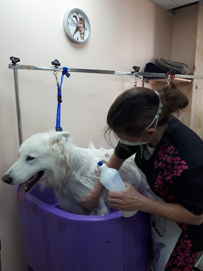 AB Croc', Toiletteur pour Animaux à Maîche