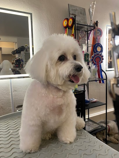 La Formation Au Toilettage Pour Chiens Et Chats Par Karin Jacob Au Salon So 'Chic And Co, Toiletteur pour Animaux à Obernai