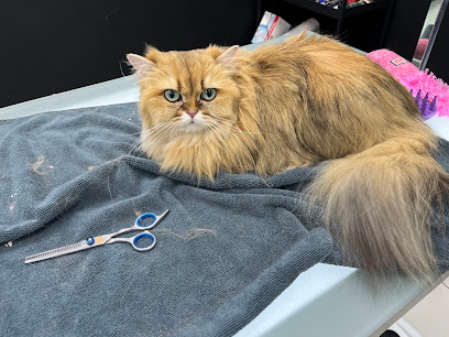Animo'chics Toiletteur Pour Animaux à Saint-Étienne-du-Rouvray