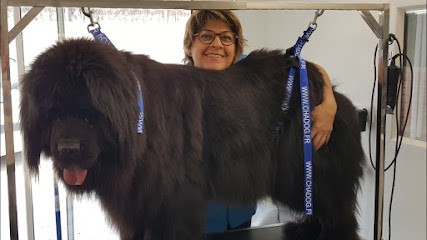 M&COUAF, Toiletteur pour Animaux à Saint-Jean-de-Monts