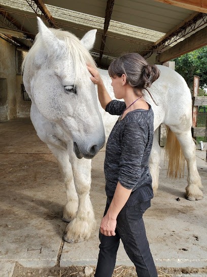 Médiation Animale Laetitia Cabaud, Toiletteur pour Animaux à Rochetoirin