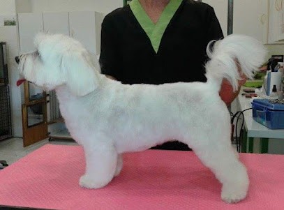 L'Empreinte d'Une Passion, Toiletteur pour Animaux à Laignes