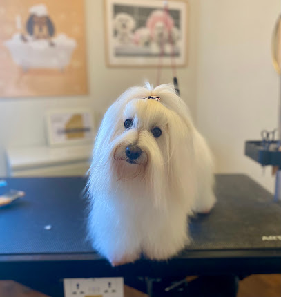 Ma Petite Étoile Toiletteur Pour Animaux à Biarritz