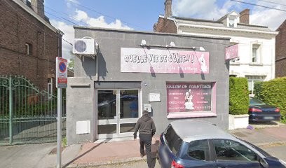 Salon De Toilettage Dog Wash, Toiletteur pour Animaux à Vieux-Condé