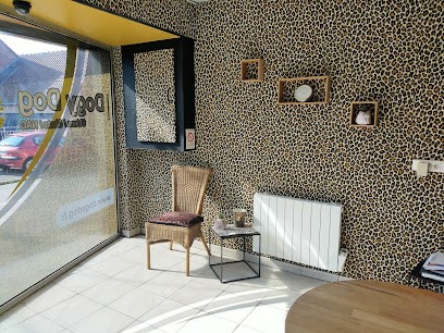 Dogy Dog, Toiletteur pour Animaux à Wavrin