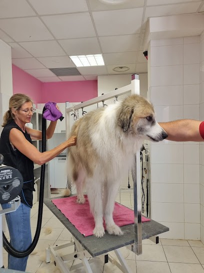 Caninement Votre, Toiletteur pour Animaux à La Roquette-sur-Siagne