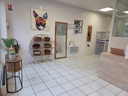 Chouchou & Loulou Toiletteur Pour Animaux à Béthune