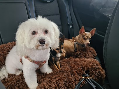 Snoupi Christine, Toiletteur pour Animaux à Bernay