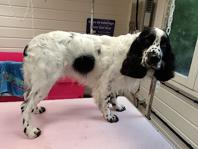 Salon De Toilettage L'ami Tout Doux Brinon Sur Sauldre, Toiletteur Pour Animaux à Brinon-sur-Sauldre
