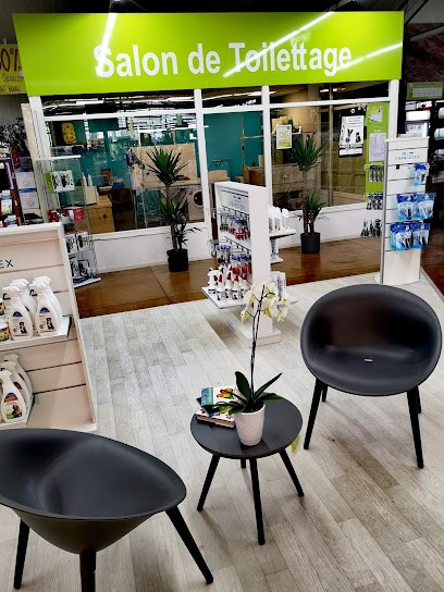 Toutoulib - Salon De Toilettage Seclin, Toiletteur pour Animaux à Seclin