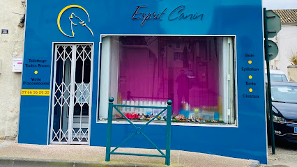 Esprit Canin, Toiletteur Pour Animaux à Morières-lès-Avignon