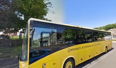 Happy Dog, Toiletteur pour Animaux à Saint-Valery-en-Caux