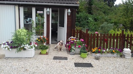 Esthétichien, Toiletteur pour Animaux à Chéroy