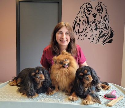 O' Poil Impérial, Toiletteur pour Animaux à Saint-Pierre-de-Chignac