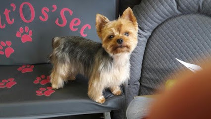 Pat'Os'Sec, Toiletteur pour Animaux à Merville-Franceville-Plage