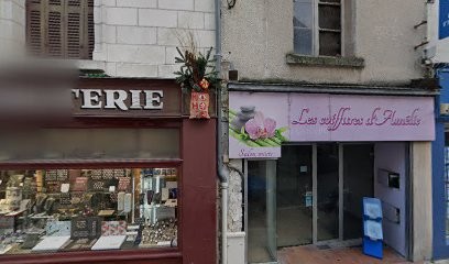 Bulles de poil's, Toiletteur pour Animaux à Montrichard Val de Cher