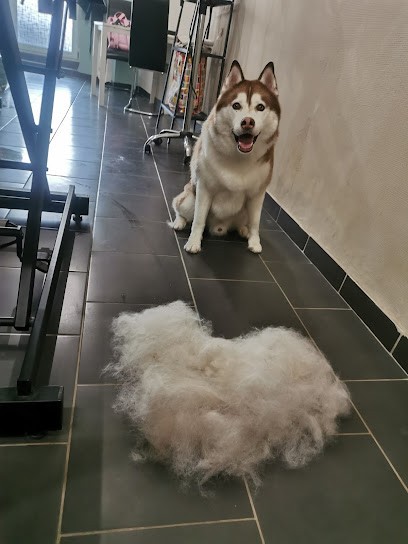 Anim'Ô Poil Saint-Avold, Toiletteur pour Animaux à Saint-Avold