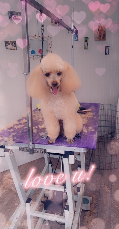 Toilettage Angélique, Toiletteur pour Animaux à Neuvic