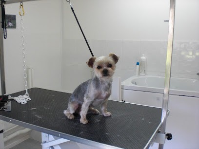Charly Toilettage Canin (chiens Et Chats), Toiletteur pour Animaux à Marcilly-sur-Eure