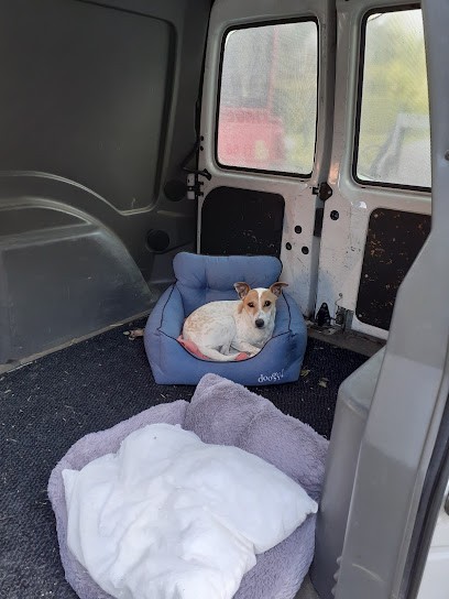 Saint Germain Toilettage, Toiletteur pour Animaux au Plessis-Brion