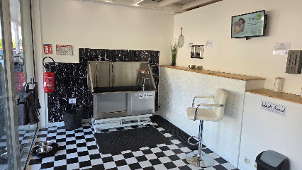 Wash Animal, Toiletteur Pour Animaux à Dreuilhe
