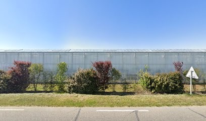 Bulles D Or, Toiletteur pour Animaux à Poudenas