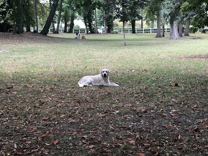 FANNY TOILETTAGE, Toiletteur pour Animaux à Avignon