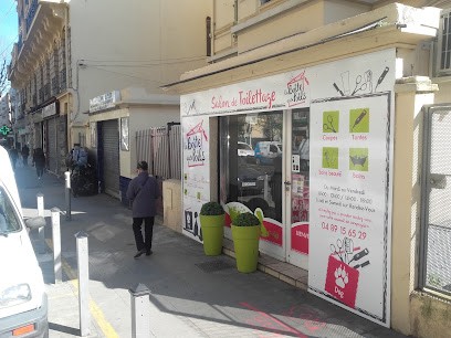Salon De Toilettage, Toiletteur pour Animaux à Nice