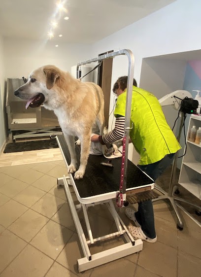 SEES O POIL- Toilettage Chien Et Chat, Toiletteur pour Animaux à Sées