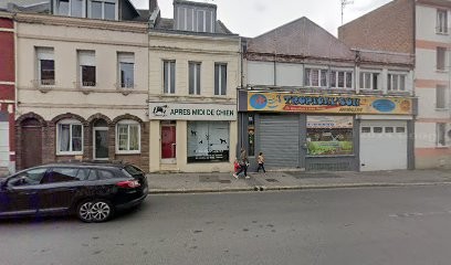 APRES MIDI DE CHIEN, Toiletteur pour Animaux à Saint-Quentin