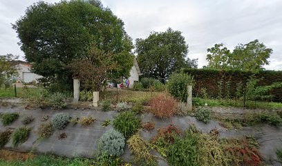 Dog Création 47 Toilettage à Domicile, Toiletteur pour Animaux à Roquefort