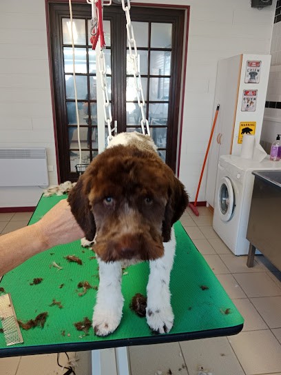 Espace Canin, Toiletteur pour Animaux à Périgueux